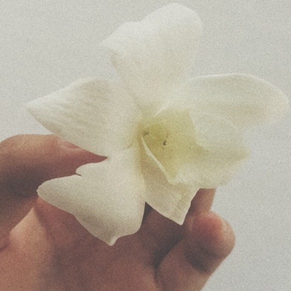 Meet your Posher, S - Picture 1 of 1